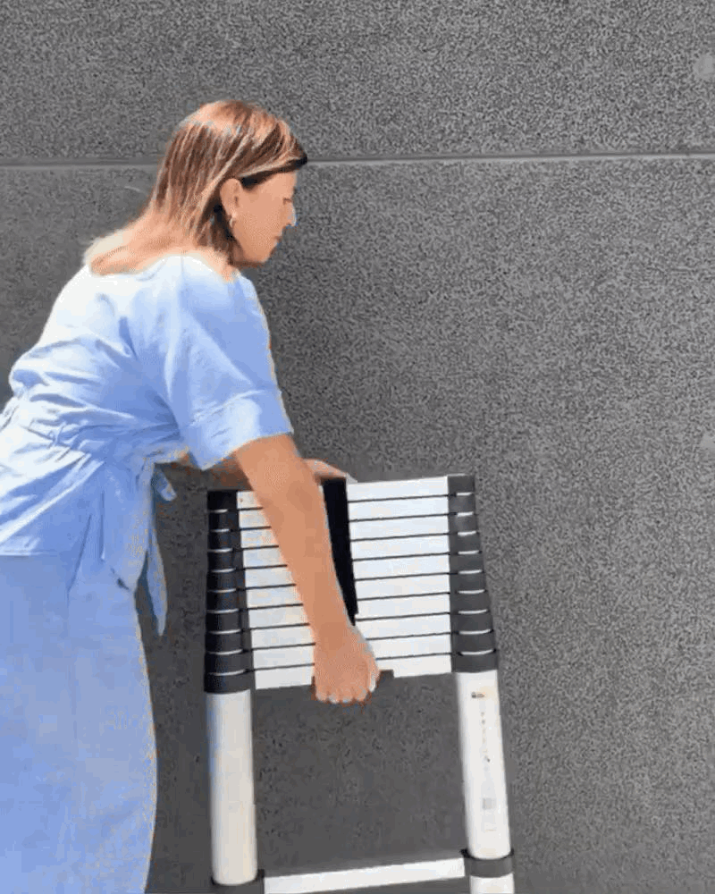 Echelle Télescopique Polyvalente 3,8M – Légère, Sécurisée et Facile à Ranger 🔧